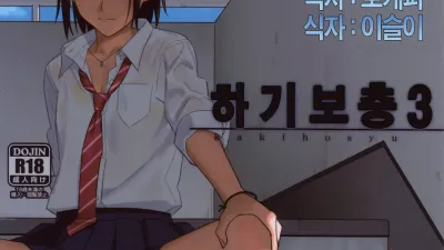 하기보충 3
