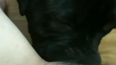 반려견 따먹는 아줌마,, 후덜덜덜